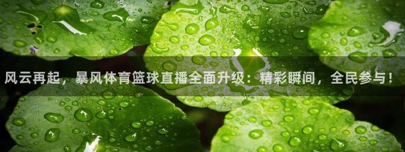 833直播比赛免费观看入口：风云再起，暴风体育篮球直播全面升级：精彩瞬间，全民参与！