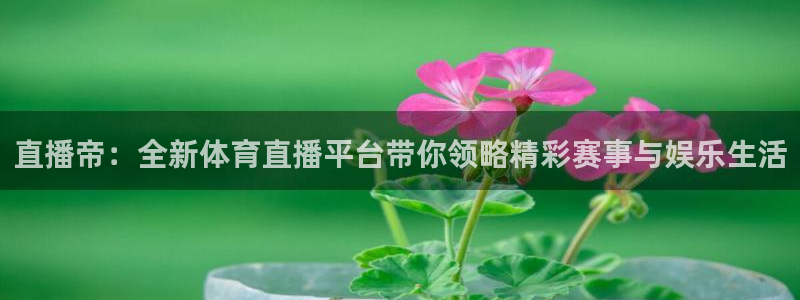 3833tv直播nba免看：直播帝：全新体育直播平台带你领略精彩赛事与娱乐生活