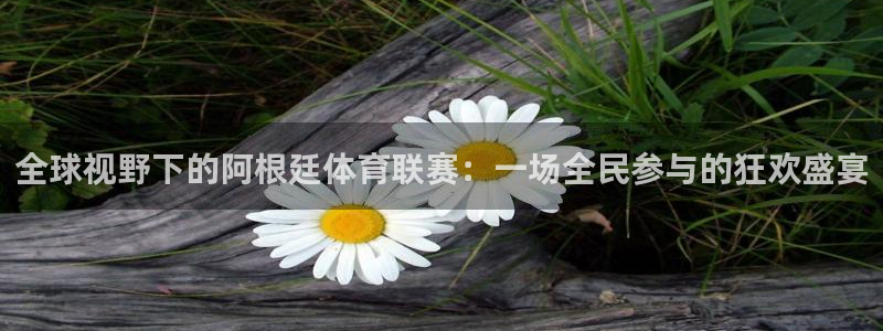 833看球直播在线观看：全球视野下的阿根廷体育联赛：一场全民参与的狂欢盛宴
