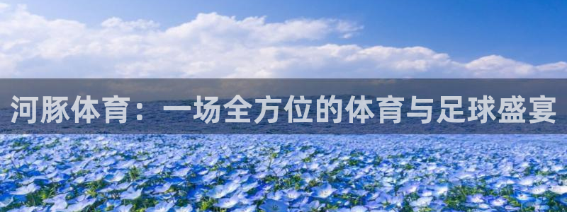 833足球直播免费完整：河豚体育：一场全方位的体育与足球盛宴