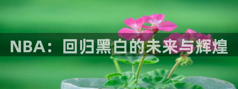 833直播nba：NBA：回归黑白的未来与辉煌