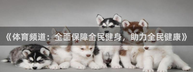 833篮球直播比赛在线观看：《体育频道：全面保障全民健身，助力全民健康》