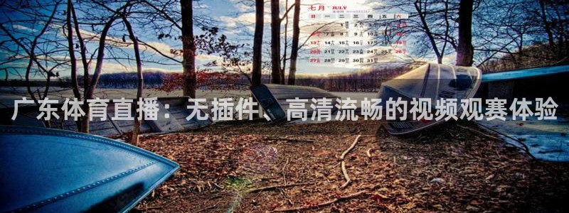 833直播比赛免费观看：广东体育直播：无插件、高清流畅的视频观赛体验