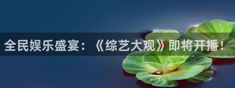 833直播足球免费观看：全民娱乐盛宴：《综艺大观》即将开播！