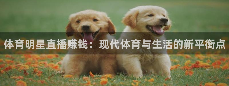 833看球直播在线观看：体育明星直播赚钱：现代体育与生活的新平衡点