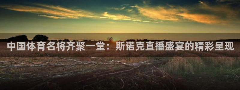 833直播nba：中国体育名将齐聚一堂：斯诺克直播盛宴的精彩呈现