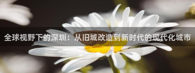 833篮球直播比赛在线观看：全球视野下的深圳：从旧城改造到新时代的现代化城市